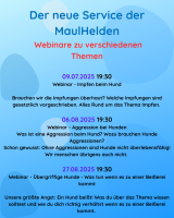 Webinar Übergriffige Hunde
